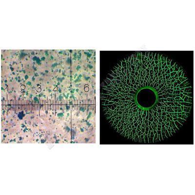 Helling Super Magna CGY 4000 магнитный порошок