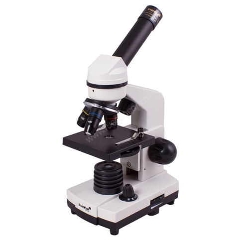 Цифровой микроскоп Levenhuk Rainbow D2L