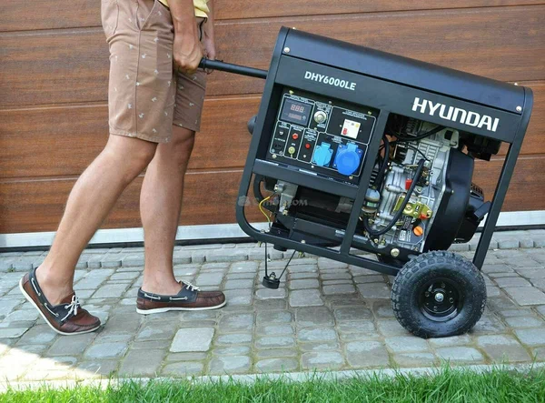 Дизельный генератор Hyundai DHY 6000LE - 5
