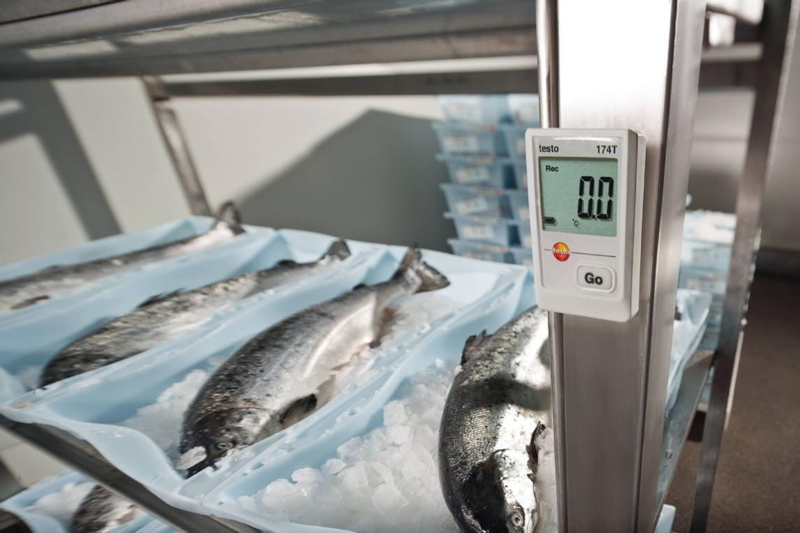 Логгер Testo 174T с USB-интерфейсом - 1