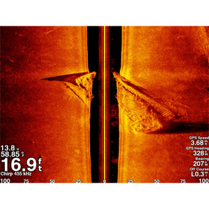 Эхолот Garmin GSD 25 - 1