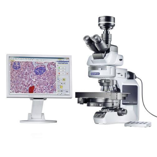 BX43P поляризационный микроскоп оптический - 1