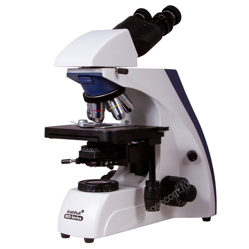 Микроскоп Levenhuk MED 30B - 2