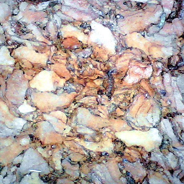 Цифровой микроскоп Levenhuk DTX 720 WiFi - 9