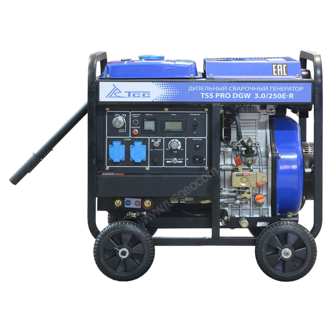 Сварочный генератор TSS PRO DGW 3.0/250E-R - 1