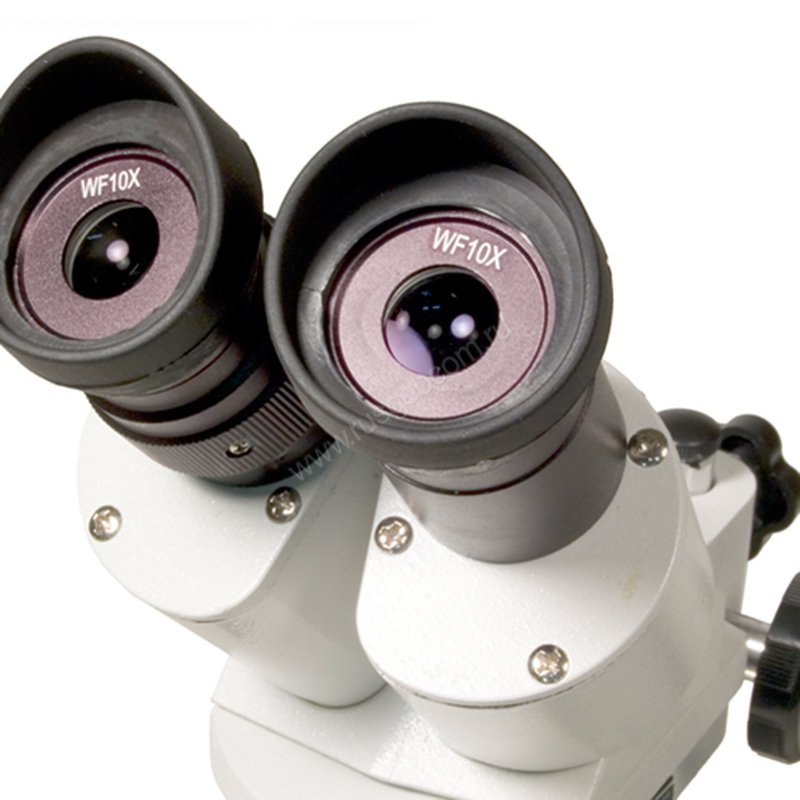 Цифровой микроскоп Levenhuk 3ST - 2