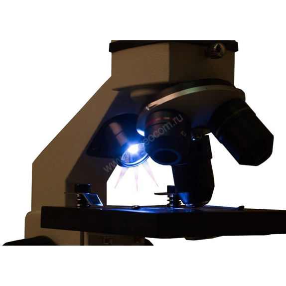 Микроскоп Levenhuk Rainbow 2L PLUS Moonstone (Лунный камень) - 6